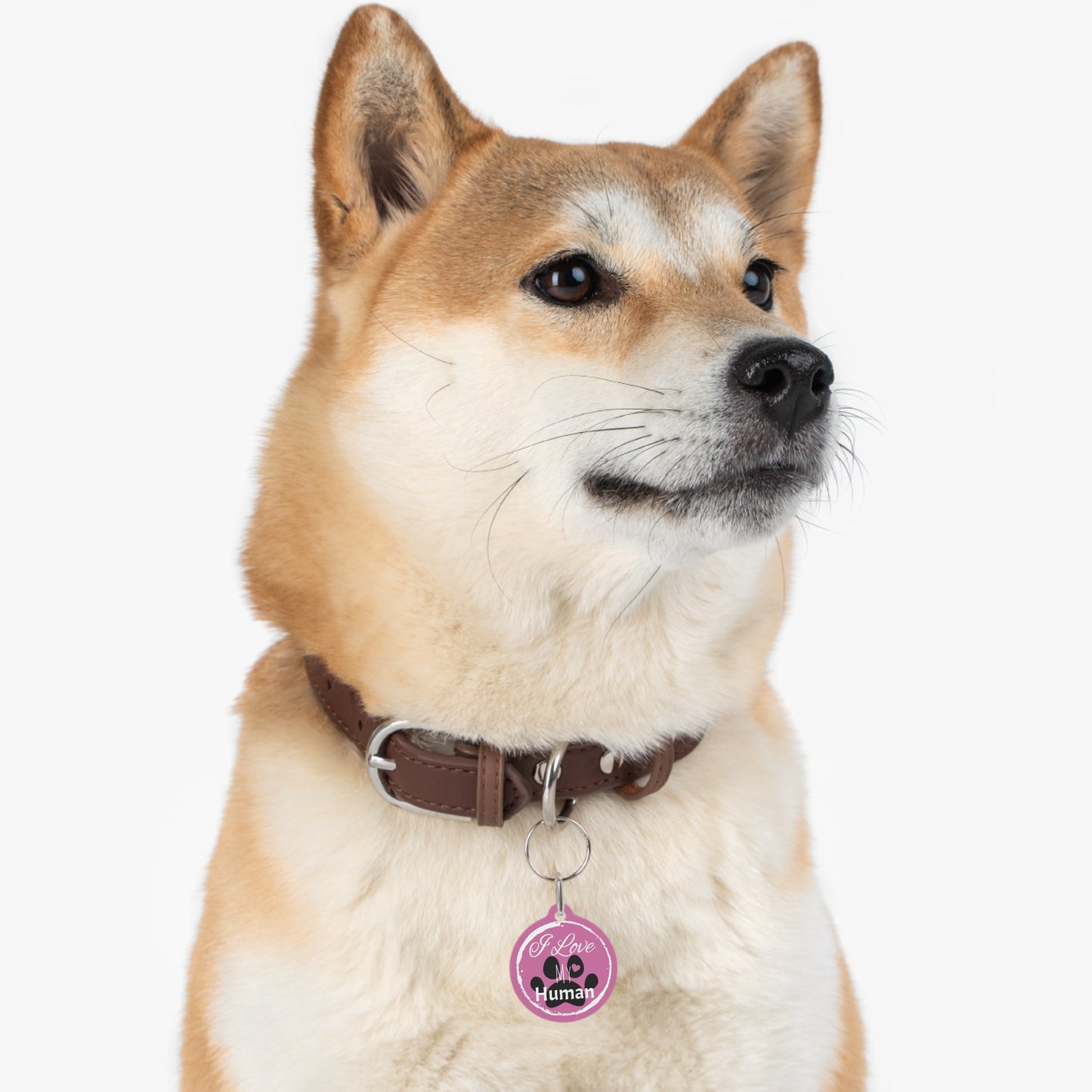Pink "I Love My Human" Pet Tag, Dog Tag, Dog ID, Cat Tag, Cat ID