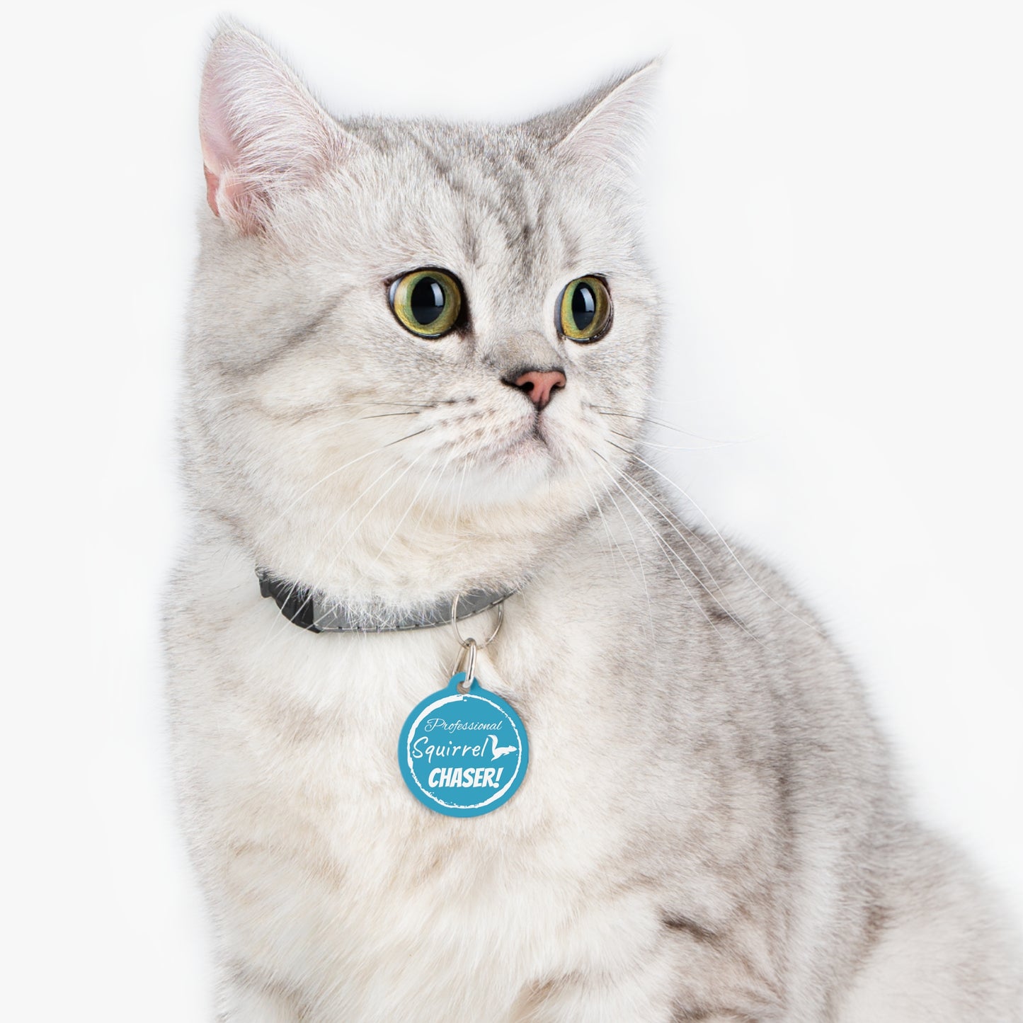 Blue "Professional Squirrel Chaser!" , Pet Tag, Dog tag, Dog ID, Cat tag, Cat ID