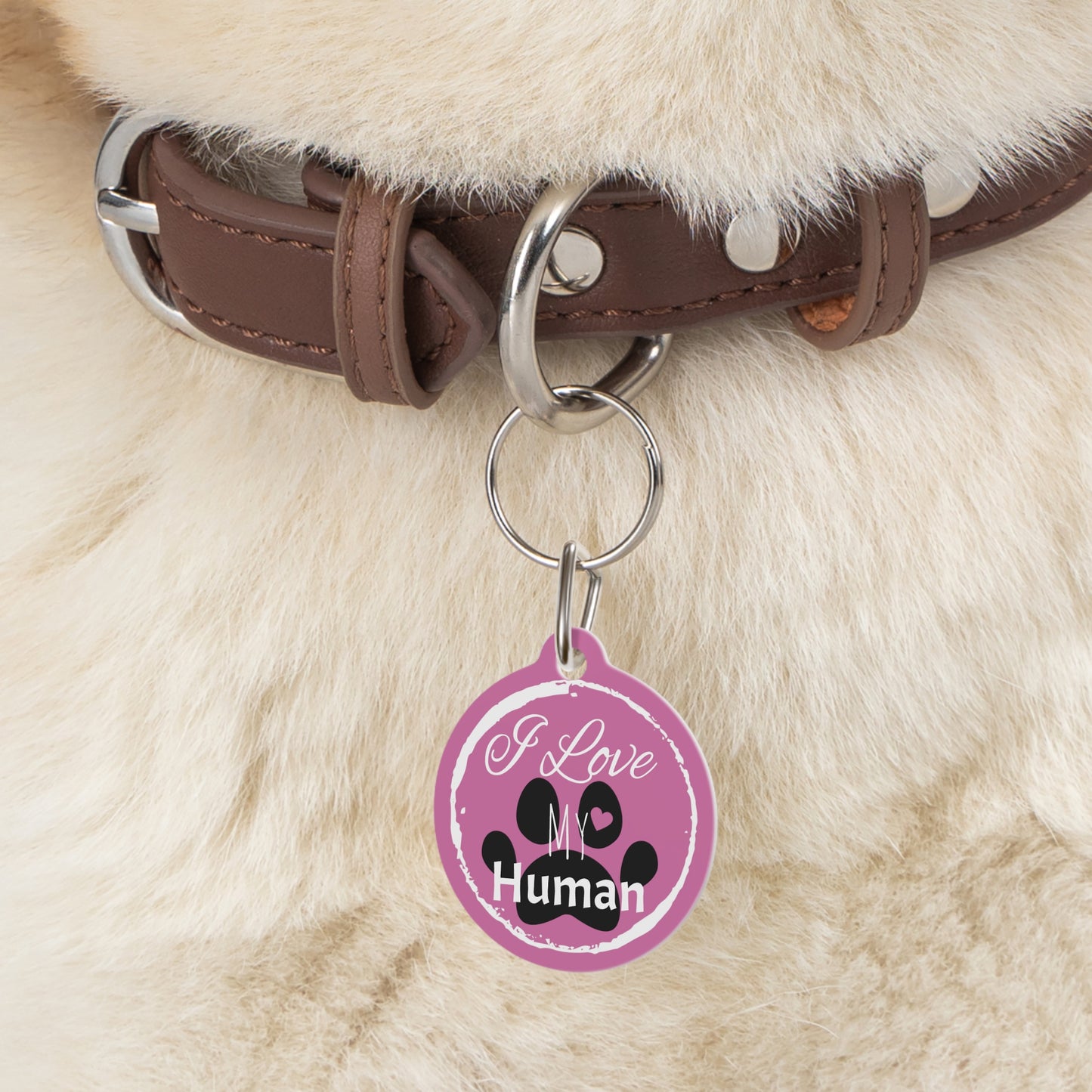 Pink "I Love My Human" Pet Tag, Dog Tag, Dog ID, Cat Tag, Cat ID