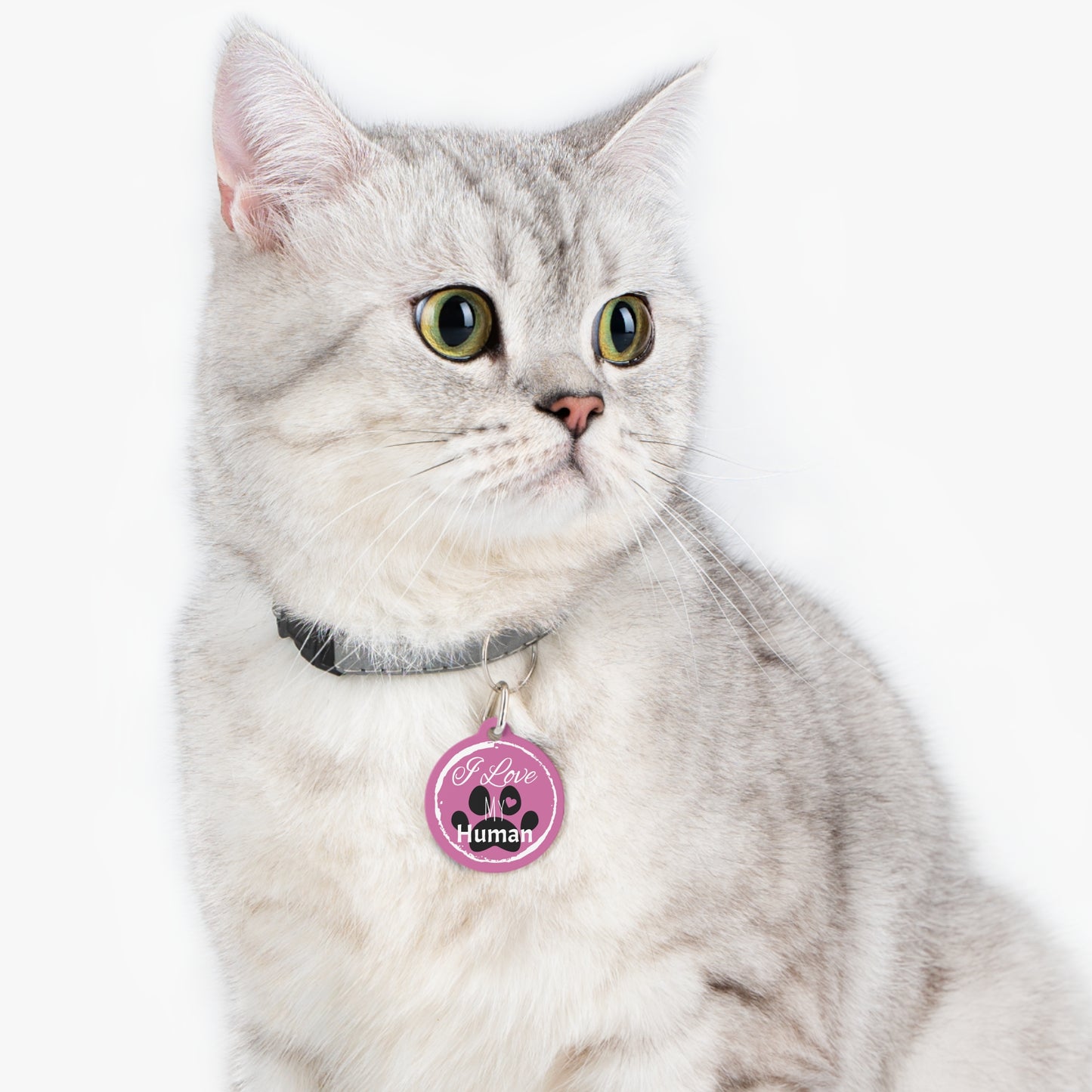 Pink "I Love My Human" Pet Tag, Dog Tag, Dog ID, Cat Tag, Cat ID