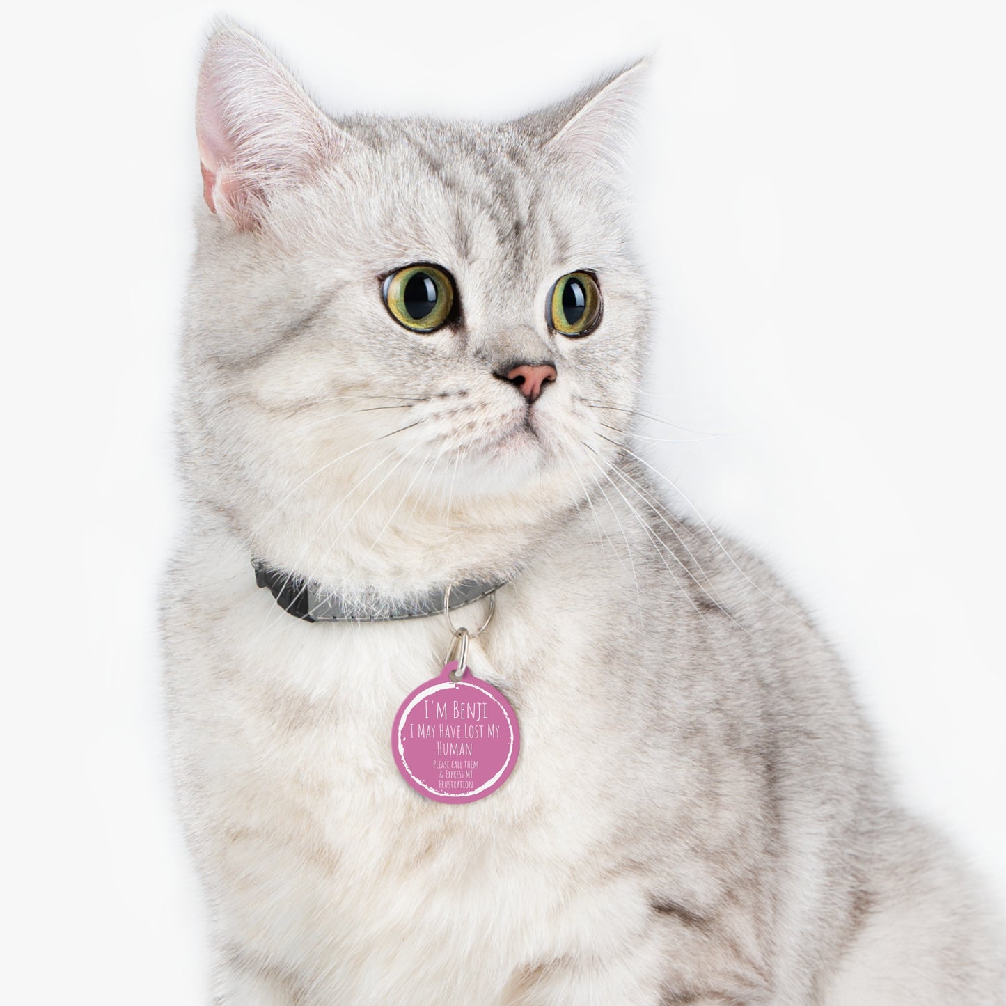 Pink "I May Have Lost My Human" , Pet Tag, Pet ID, Dog Tag, Dog ID, Cat ID, Cat Tag