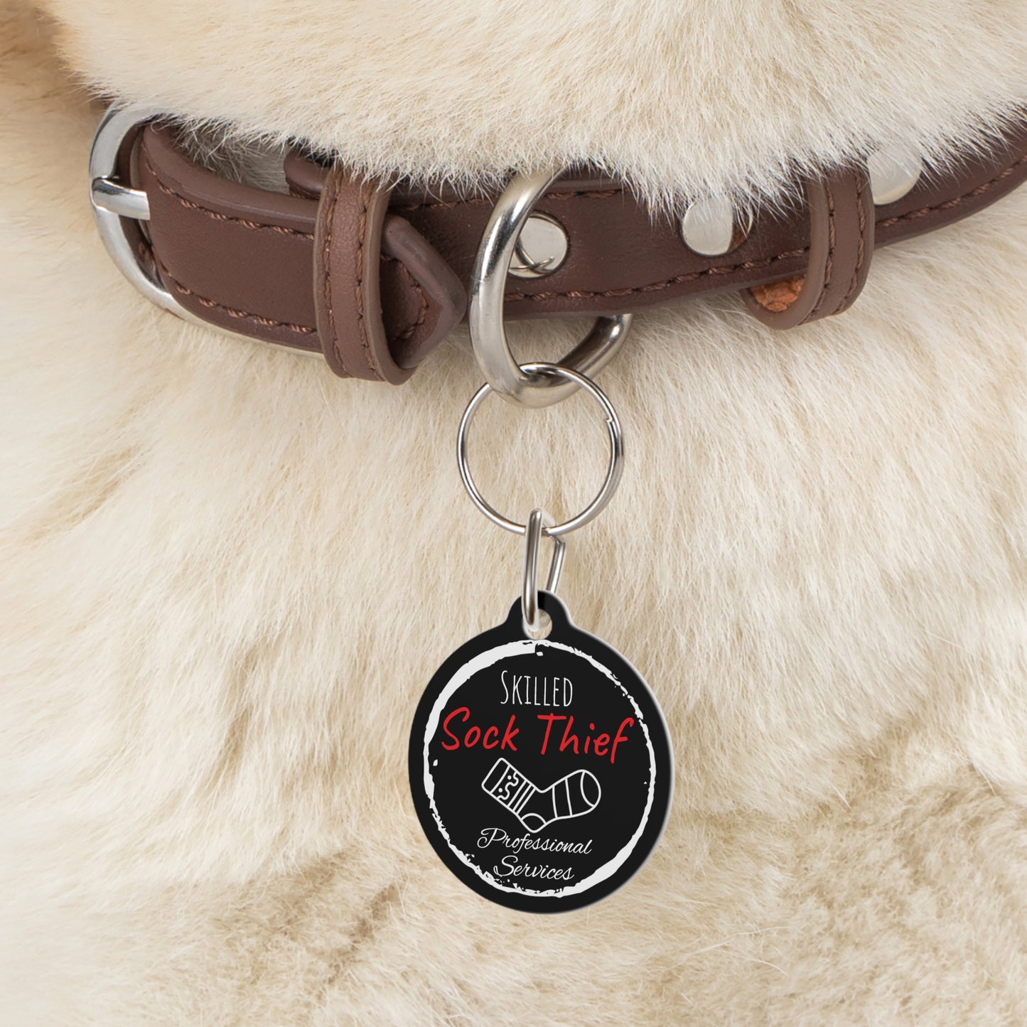 Black Dog ID, Dog Tag and Personolised with your Dogs Name and Contact info. "Skilled Sock Thief, Professional Services", Pet Tag.