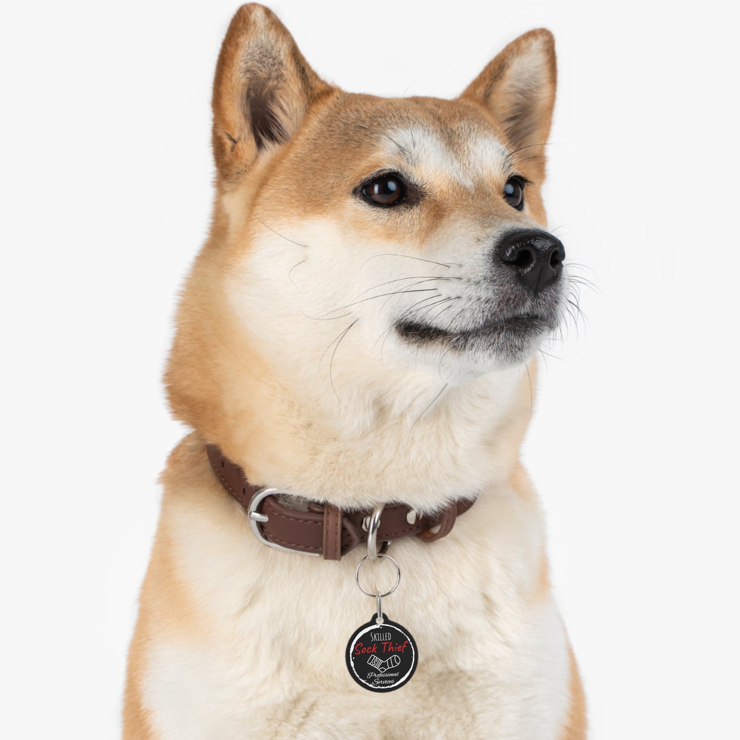 Black Dog ID, Dog Tag and Personolised with your Dogs Name and Contact info. "Skilled Sock Thief, Professional Services", Pet Tag.