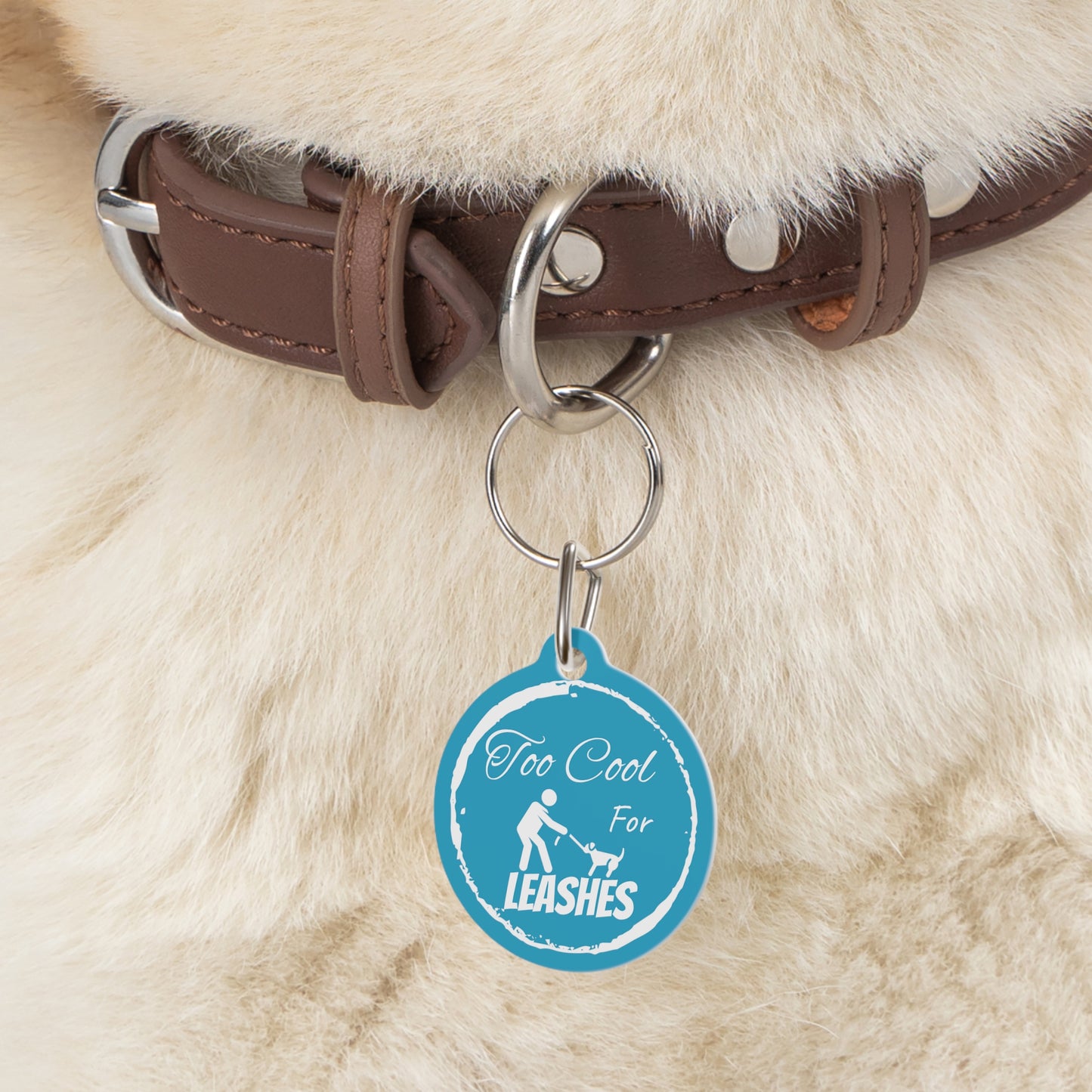 Blue "Too Cool For Leashes" Pet Tag, Dog tag, Dog ID, Cat tag, Cat ID