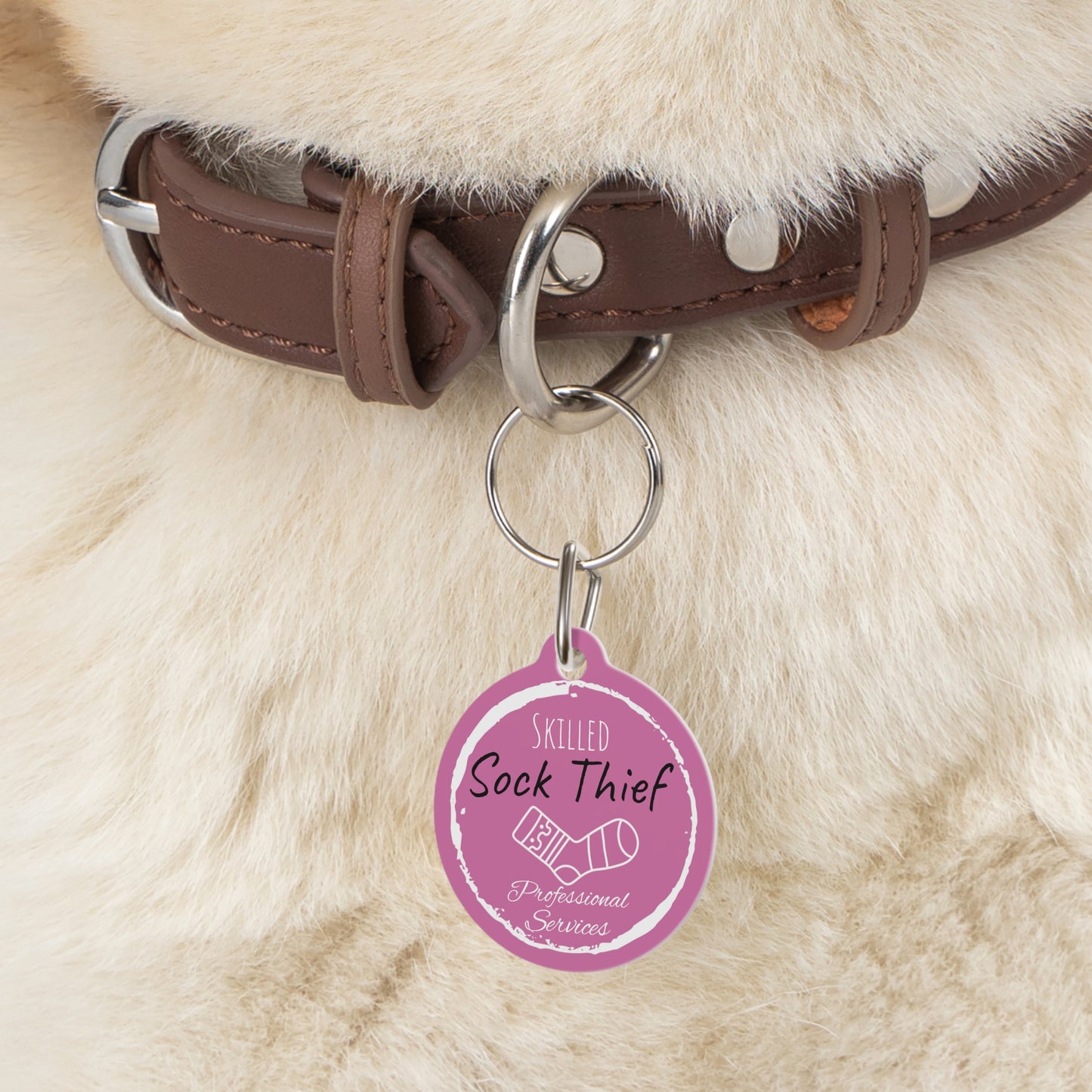 Pink Dog ID, Dog Tag and Personolised with your Dogs Name and Contact info. "Skilled Sock Thief, Professional Services", Pet Tag.