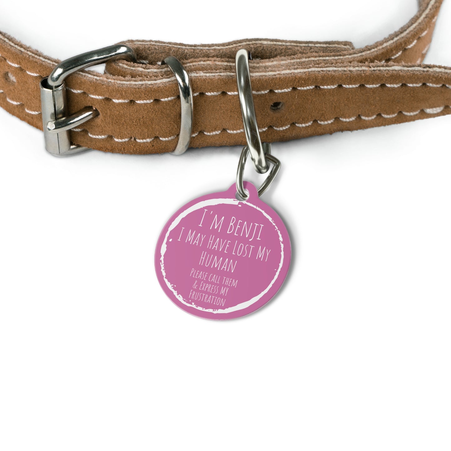 Pink "I May Have Lost My Human" , Pet Tag, Pet ID, Dog Tag, Dog ID, Cat ID, Cat Tag