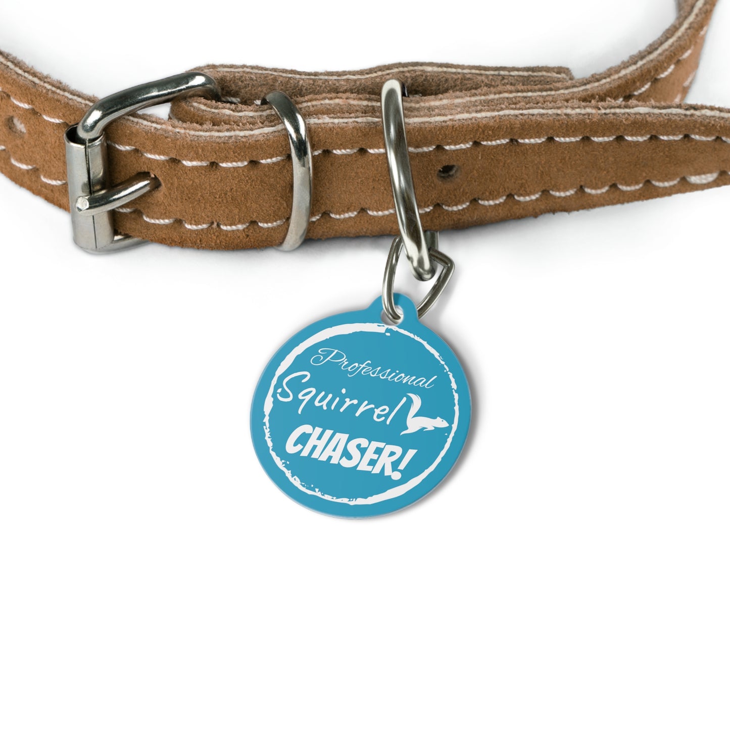 Blue "Professional Squirrel Chaser!" , Pet Tag, Dog tag, Dog ID, Cat tag, Cat ID
