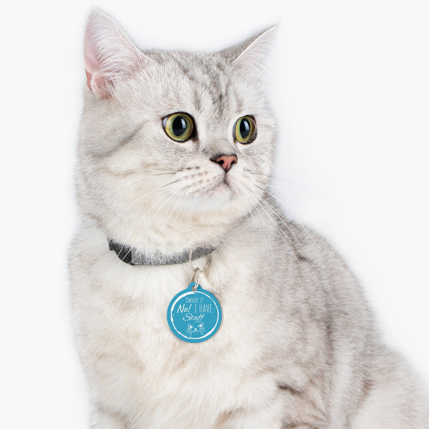 Blue "Owner's? No! I Have Staff" Pet Tag, Dog Tag, Dog ID, Cat Tag, Cat ID