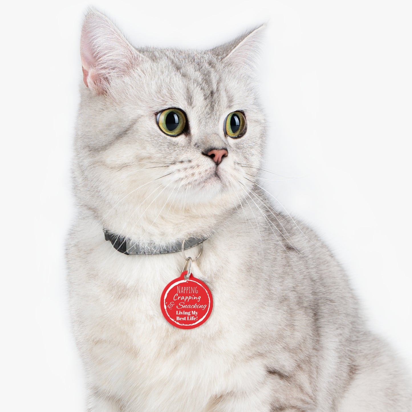 Red "Napping, Crapping and Snacking. Living My Best Life" ,Pet Tag, Dog ID, Dog Tag, Cat Tag, Cat ID