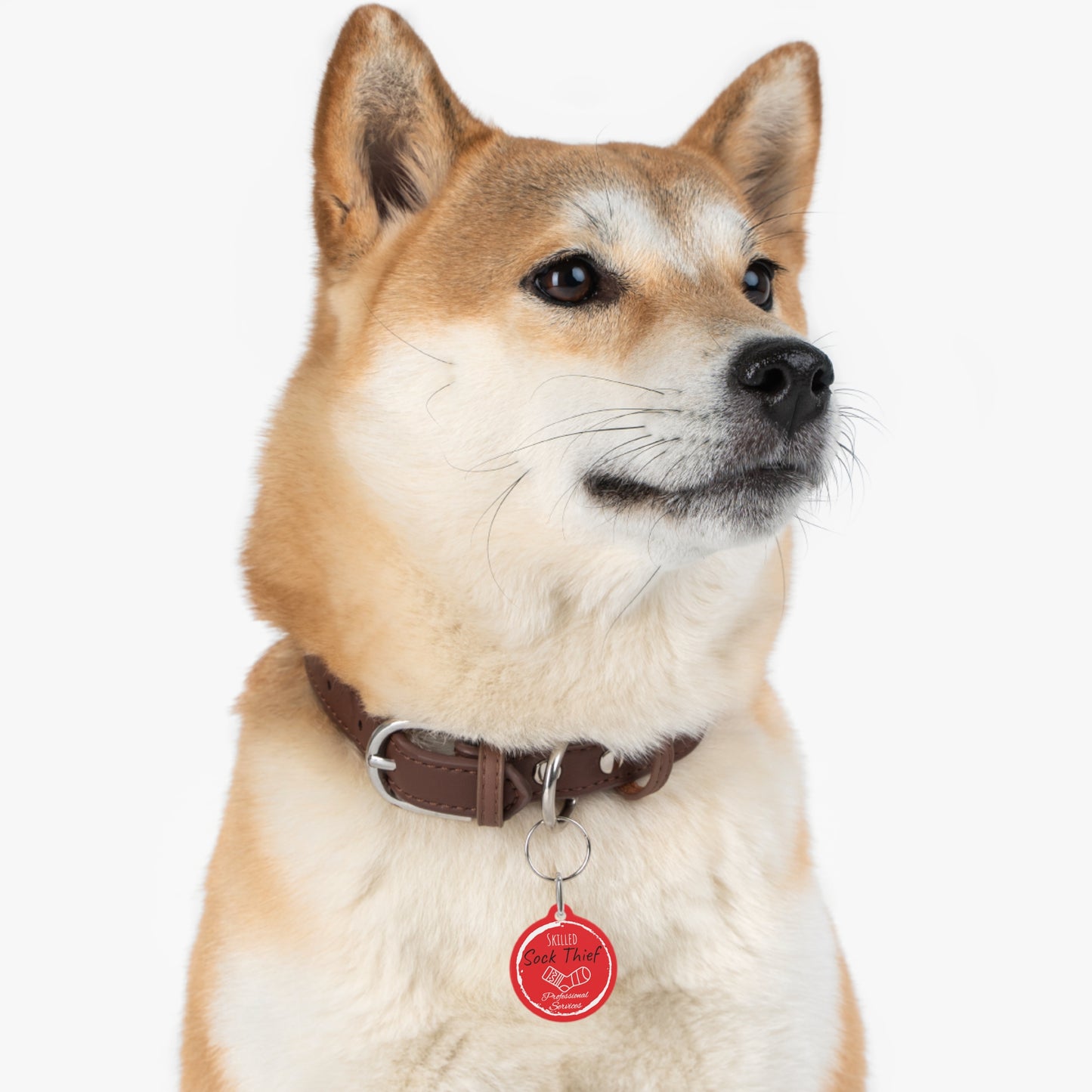 Red Dog ID, Dog Tag and Personolised with your Dogs Name and Contact info. "Skilled Sock Thief, Professional Services", Pet Tag.