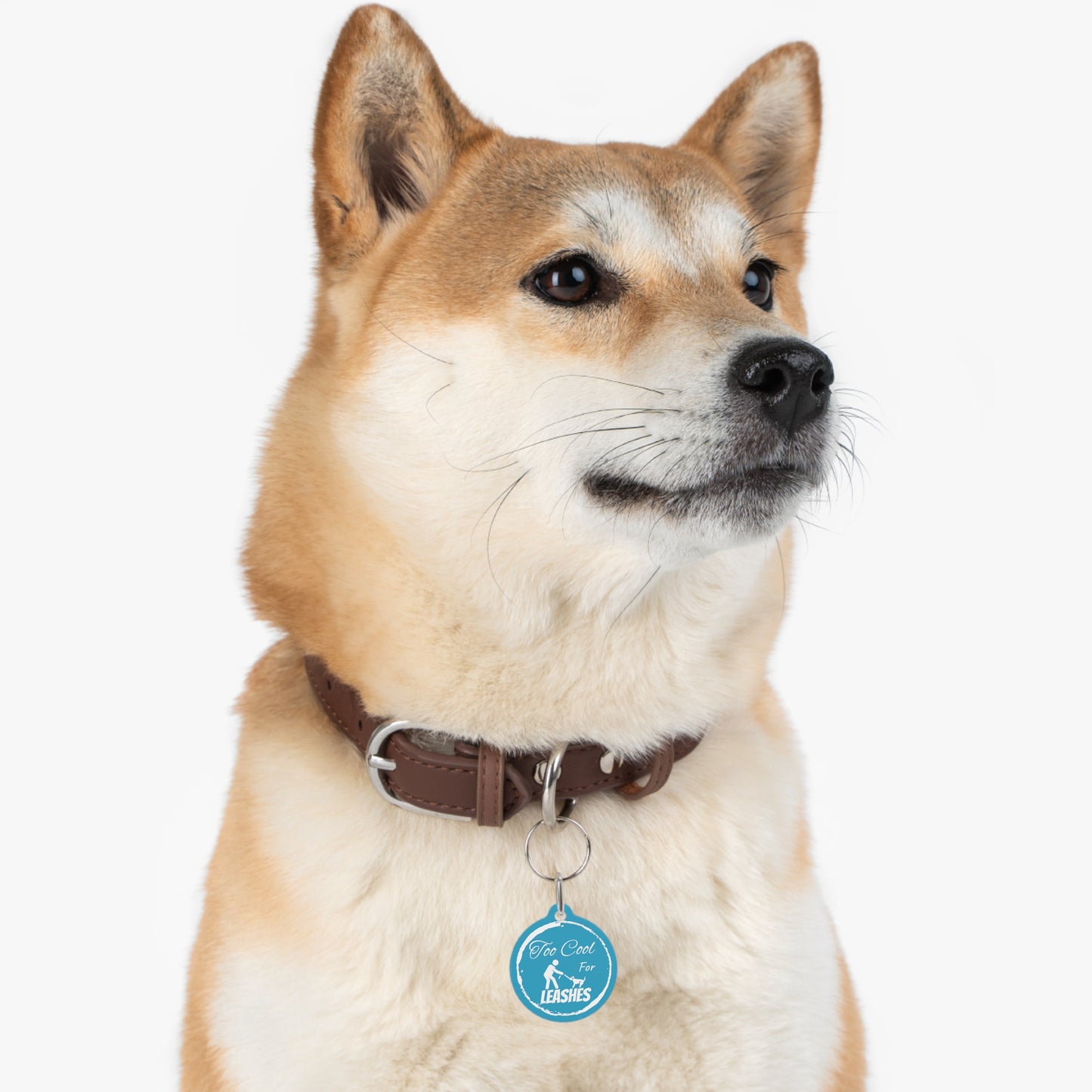 Blue "Too Cool For Leashes" Pet Tag, Dog tag, Dog ID, Cat tag, Cat ID