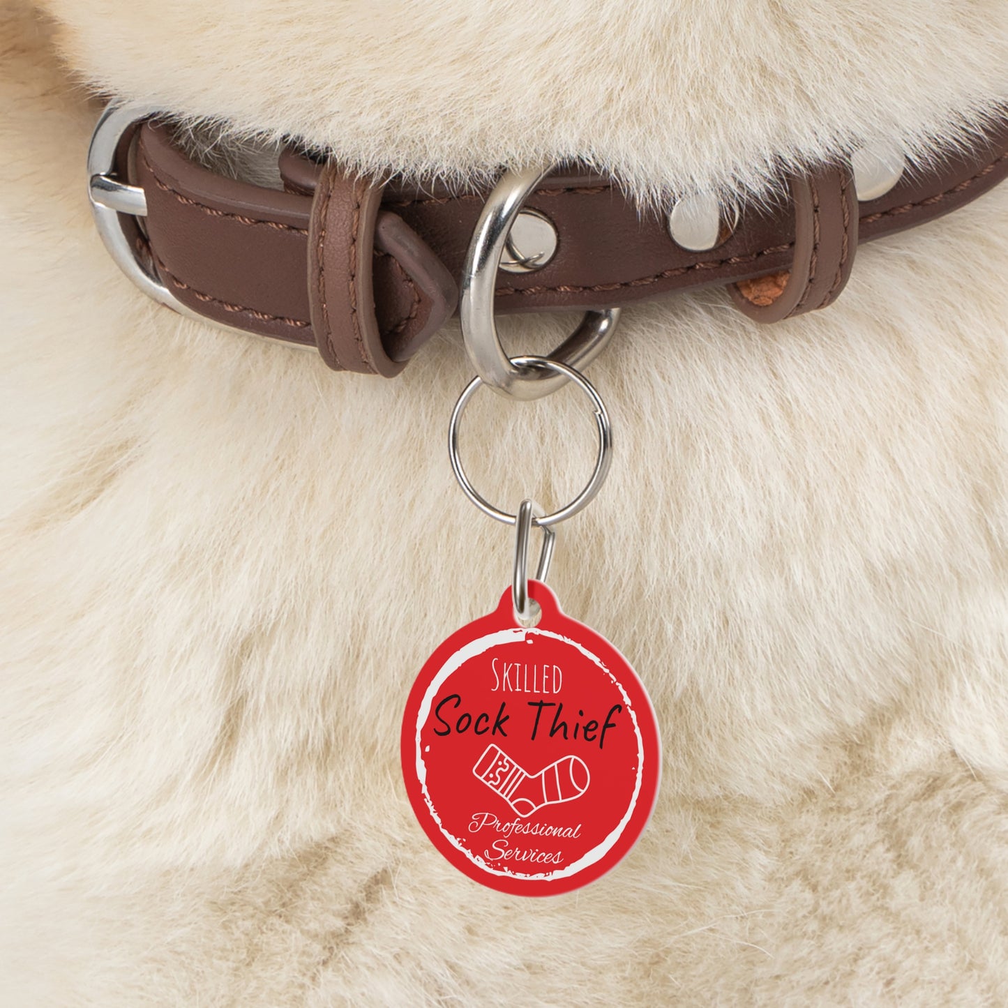 Red Dog ID, Dog Tag and Personolised with your Dogs Name and Contact info. "Skilled Sock Thief, Professional Services", Pet Tag.