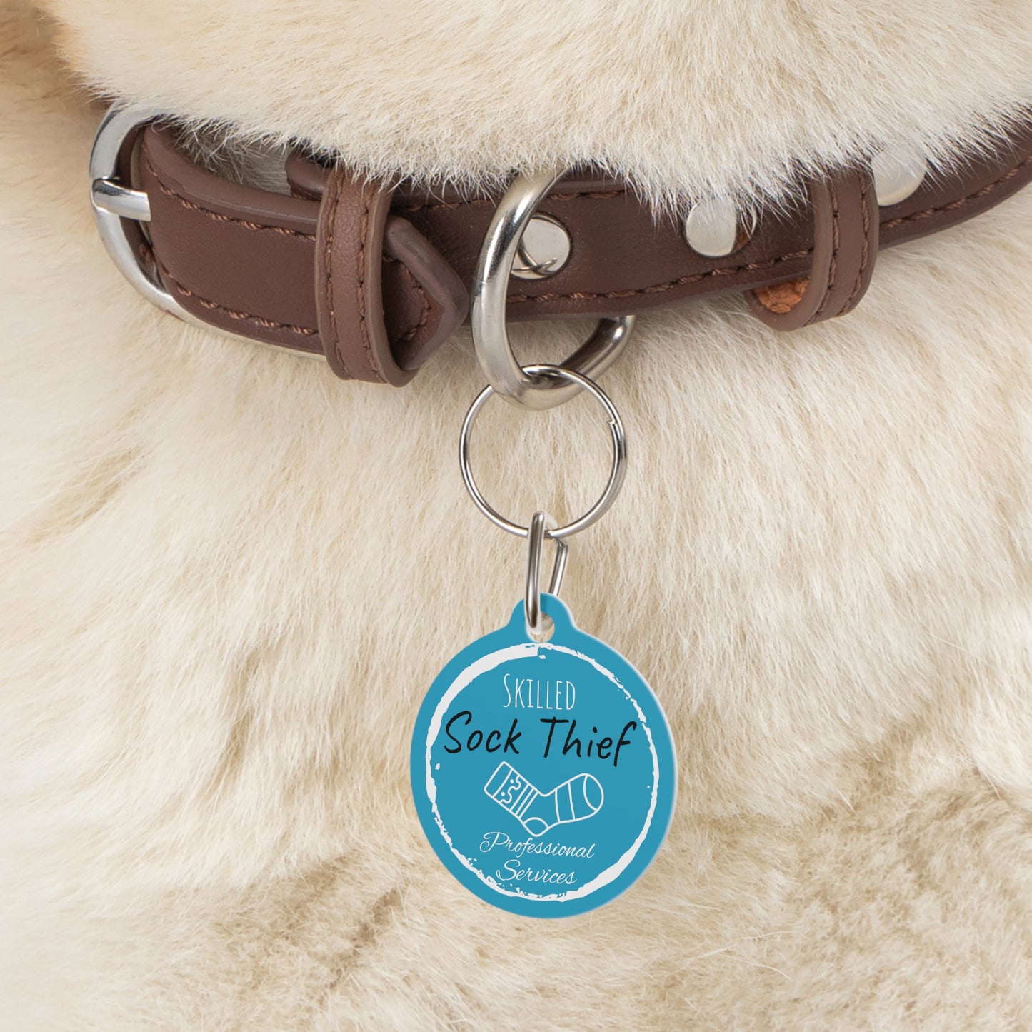 Blue Dog ID, Dog Tag and Personolised with your Dogs Name and Contact info. "Skilled Sock Thief, Professional Services", Pet Tag.