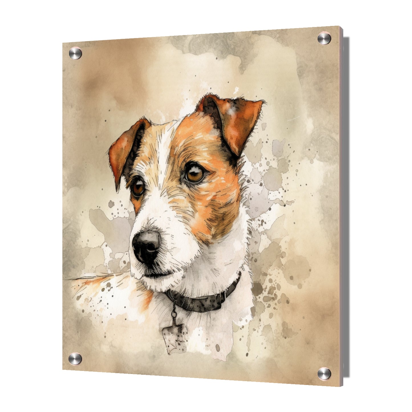 Jack Russell (d) Dog Watercolor Acrylic Print