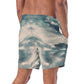 Smoky Mountains : Men's swim trunks