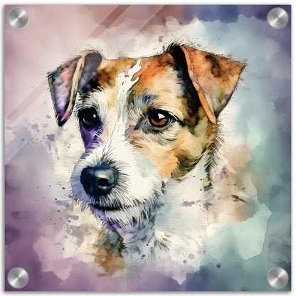 Jack Russell Dog  Watercolor Acrylic Print