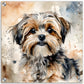 Shorkie (b) Dog  Watercolor Acrylic Print